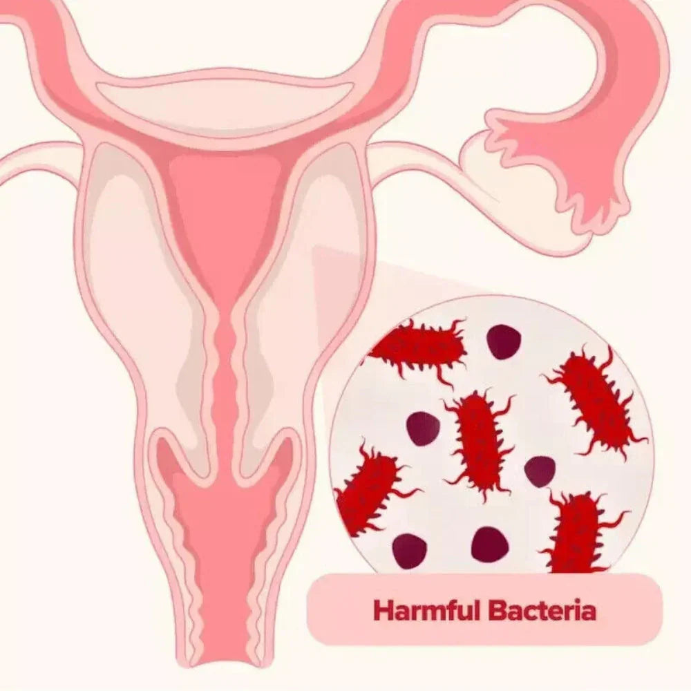 URO™ - Probióticos vaginales Promocion 2x1 POR ESTE MES 🎁