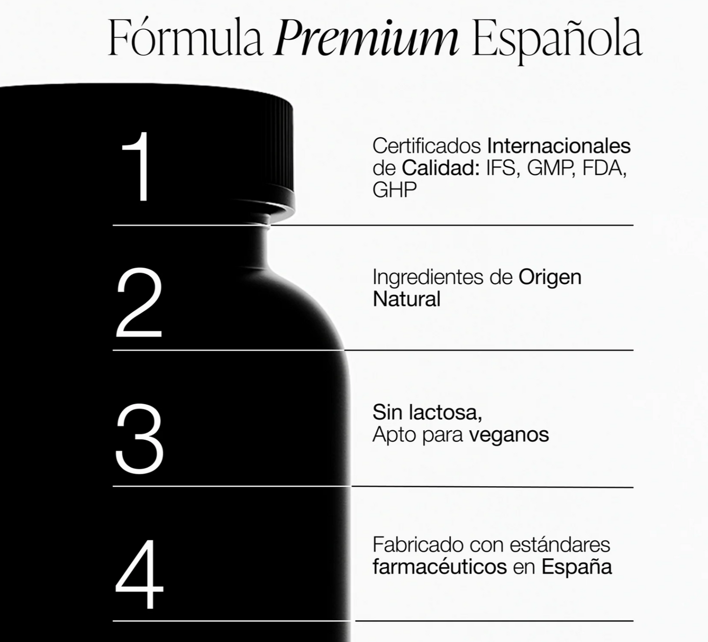 ZZEN Focus  Nootrópico Natural