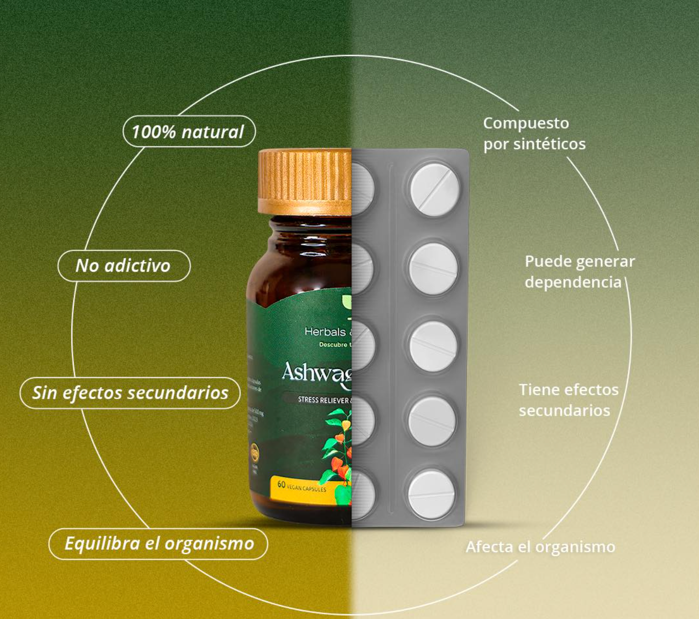 ASHWAGANDHA™ - Reduce el Estrés - Mejora el Sueño - Reduce el Cortisol 2x1✅