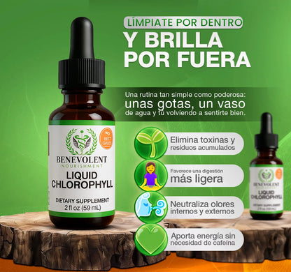 Clorofila líquida- OFERTA ESTE MES 👩🏻‍⚕️ ✅ OFERTA 2X1 ✅